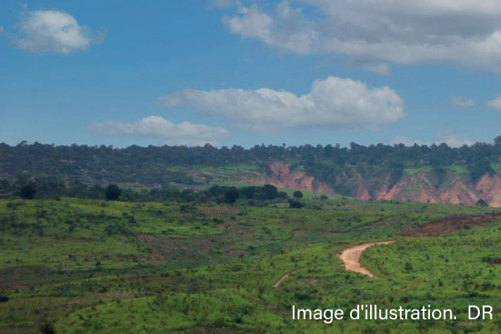 [Conflit foncier/Akoupé-Zeudji] Convoqués à la Brigade de Recherche, des instigateurs d'occupations illégales font des aveux lors de leur Audition