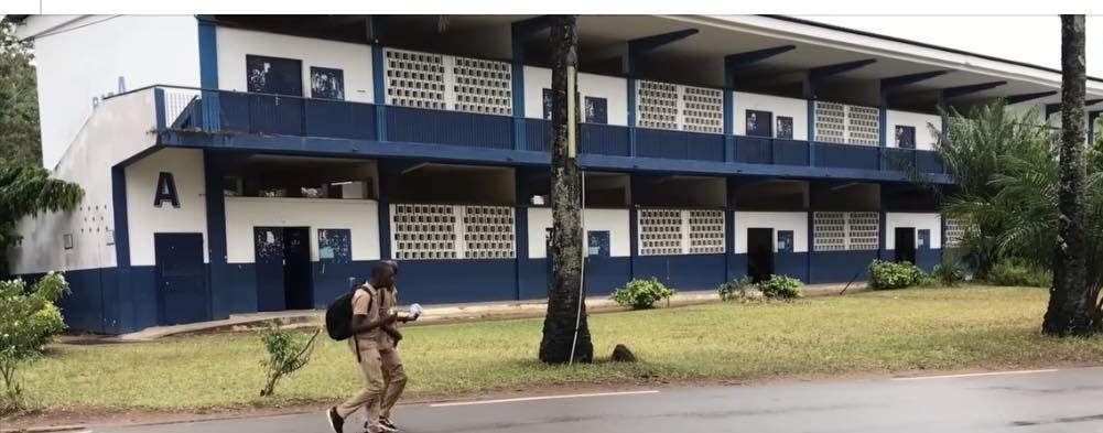 [La Côte d’Ivoire sous tension] Grève des enseignants, arrestation syndicale, Éléphanteaux en danger (chronique)