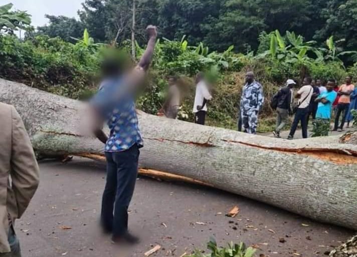 [Tensions sur l’axe Daloa-Issia] Décès suspect après le démantèlement de barricades