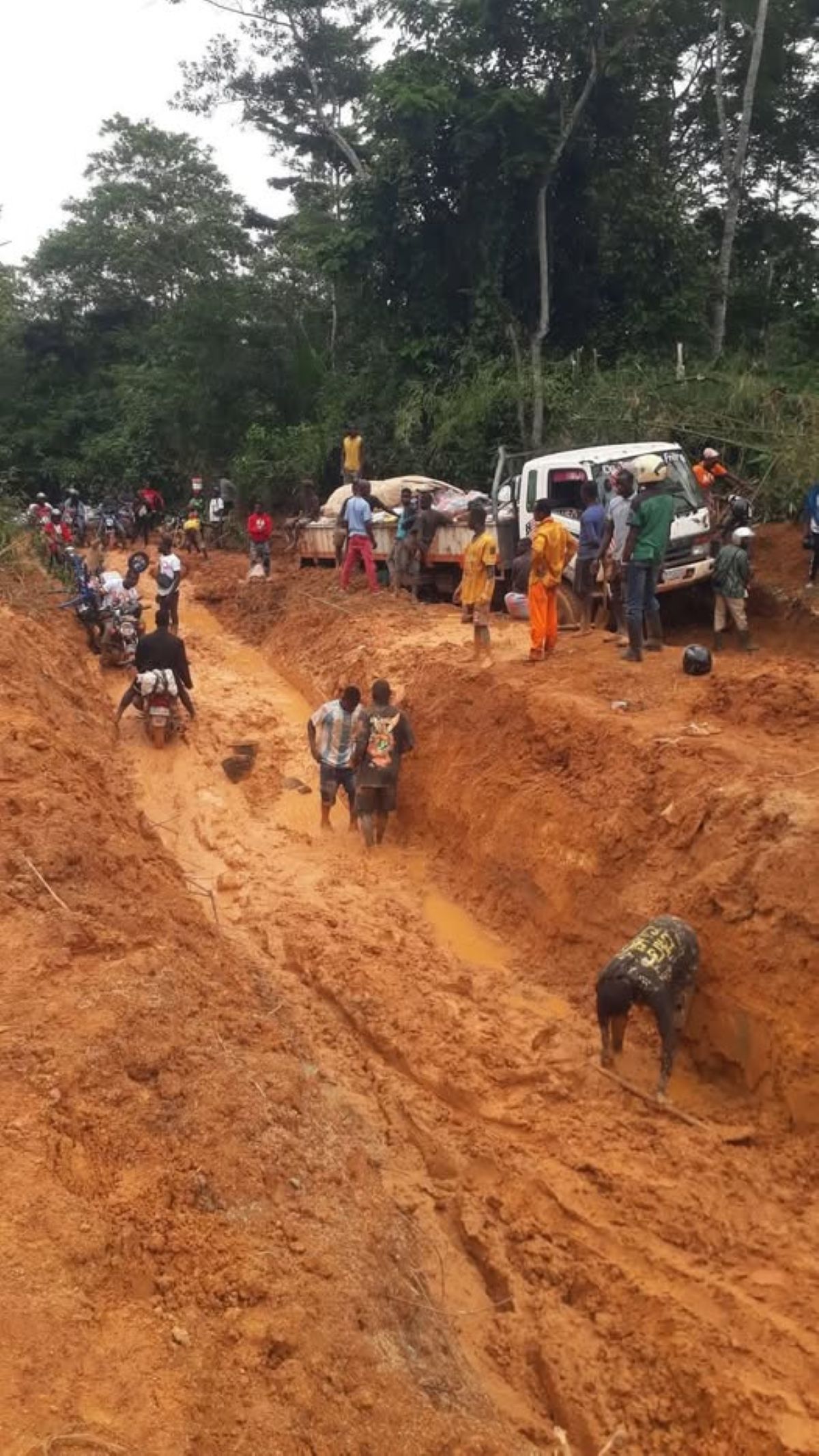 [Le Tonkpi face au déclin routier] Entre promesses politiques et droit constitutionnel au développement équitable