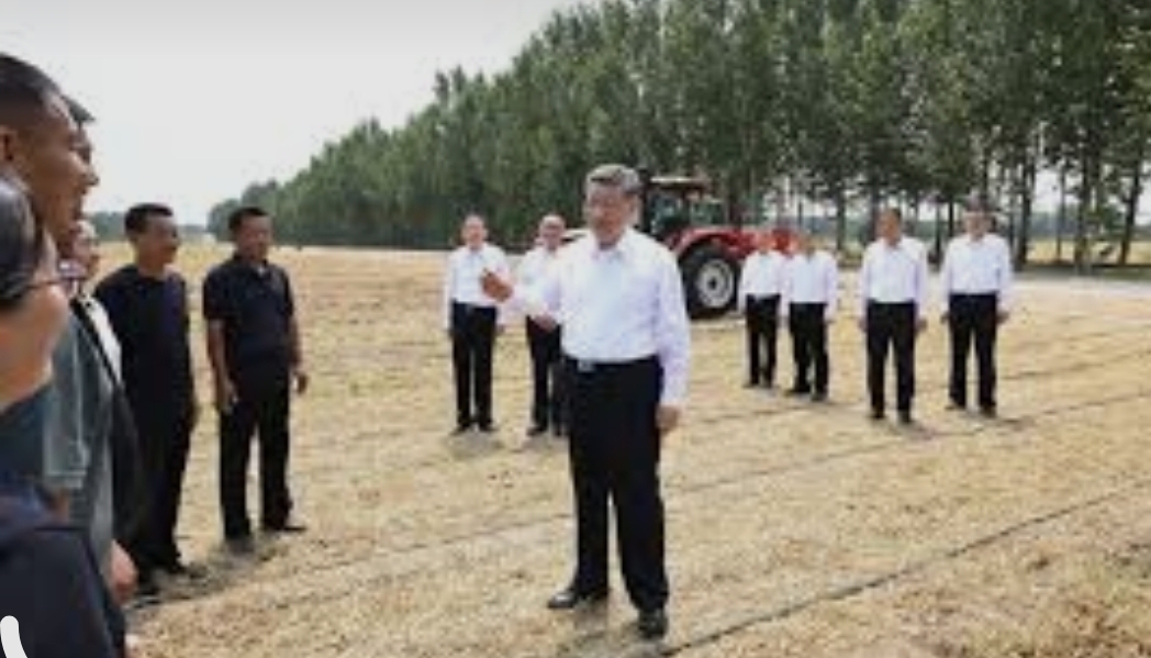 [Chine] Xi Jinping appelle à accélérer la modernisation de l’agriculture et des campagnes