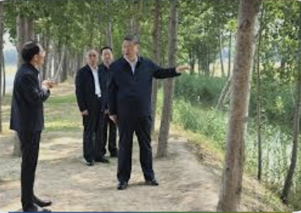 [Chine] Xi Jinping appelle à accélérer la modernisation de l’agriculture et des zones rurales